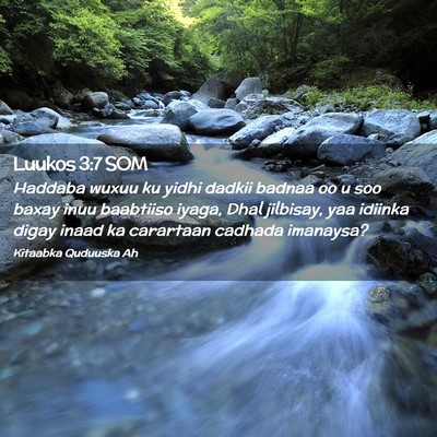 Picture 02 - Luukos 3:7 SOM - Haddaba wuxuu ku yidhi dadkii badnaa oo u soo - Bible Verse Picture