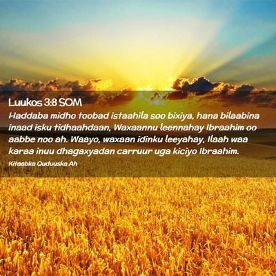 Picture 02 - Luukos 3:8 SOM - Haddaba midho toobad istaahila soo bixiya, hana - Bible Verse Picture