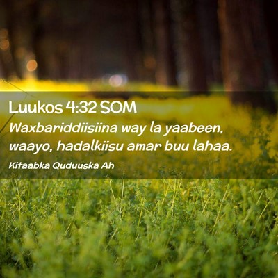 Picture 02 - Luukos 4:32 SOM - Waxbariddiisiina way la yaabeen, waayo, - Bible Verse Picture