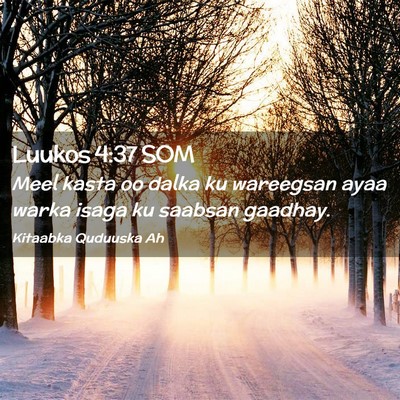 Picture 02 - Luukos 4:37 SOM - Meel kasta oo dalka ku wareegsan ayaa warka isaga - Bible Verse Picture