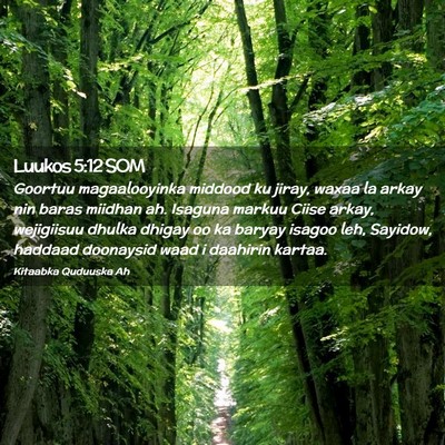 Picture 02 - Luukos 5:12 SOM - Goortuu magaalooyinka middood ku jiray, waxaa la - Bible Verse Picture