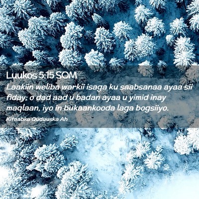 Picture 02 - Luukos 5:15 SOM - Laakiin weliba warkii isaga ku saabsanaa ayaa sii - Bible Verse Picture