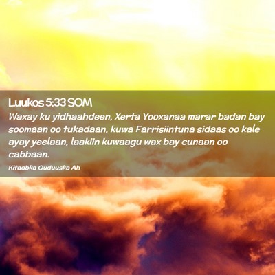 Picture 02 - Luukos 5:33 SOM - Waxay ku yidhaahdeen, Xerta Yooxanaa marar badan - Bible Verse Picture