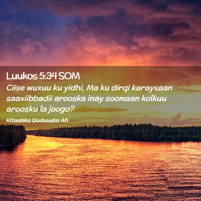 Picture 02 - Luukos 5:34 SOM - Ciise wuxuu ku yidhi, Ma ku dirqi karaysaan - Bible Verse Picture