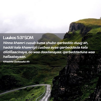 Picture 02 - Luukos 5:37 SOM - Ninna khamri cusub kuma shubo qarbeddo duug ah, - Bible Verse Picture