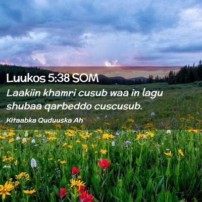 Picture 02 - Luukos 5:38 SOM - Laakiin khamri cusub waa in lagu shubaa qarbeddo - Bible Verse Picture
