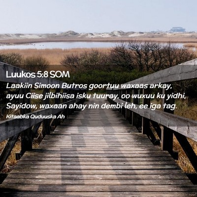 Picture 02 - Luukos 5:8 SOM - Laakiin Simoon Butros goortuu waxaas arkay, ayuu - Bible Verse Picture