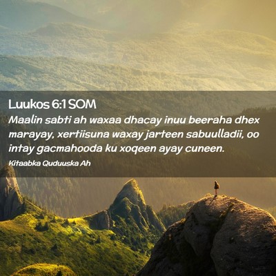 Picture 02 - Luukos 6:1 SOM - Maalin sabti ah waxaa dhacay inuu beeraha dhex - Bible Verse Picture