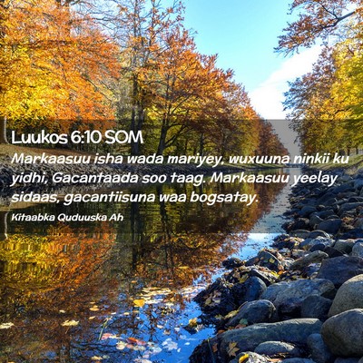 Picture 02 - Luukos 6:10 SOM - Markaasuu isha wada mariyey, wuxuuna ninkii ku - Bible Verse Picture