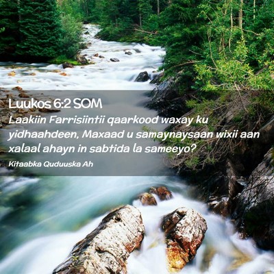 Picture 02 - Luukos 6:2 SOM - Laakiin Farrisiintii qaarkood waxay ku - Bible Verse Picture