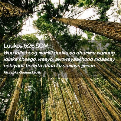 Picture 02 - Luukos 6:26 SOM - Waa idiin hoog markii dadka oo dhammu wanaag - Bible Verse Picture