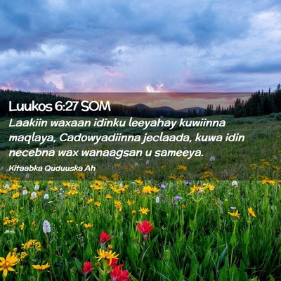 Picture 02 - Luukos 6:27 SOM - Laakiin waxaan idinku leeyahay kuwiinna maqlaya, - Bible Verse Picture