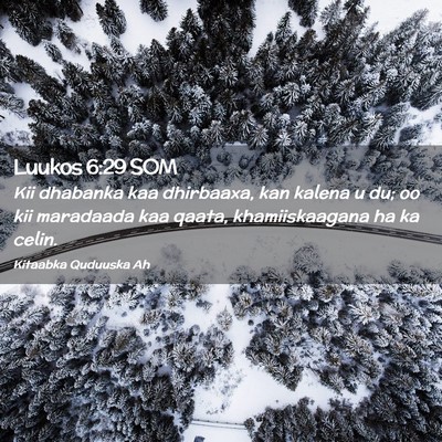 Picture 02 - Luukos 6:29 SOM - Kii dhabanka kaa dhirbaaxa, kan kalena u du; oo - Bible Verse Picture