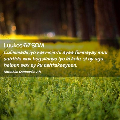 Picture 02 - Luukos 6:7 SOM - Culimmadii iyo Farrisiintii ayaa fiirinayay inuu - Bible Verse Picture