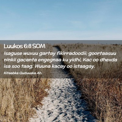 Picture 02 - Luukos 6:8 SOM - Isaguse wuxuu gartay fikirradoodii; goortaasuu - Bible Verse Picture