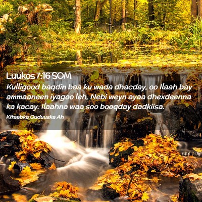Picture 02 - Luukos 7:16 SOM - Kulligood baqdin baa ku wada dhacday, oo Ilaah - Bible Verse Picture