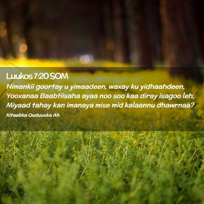 Picture 02 - Luukos 7:20 SOM - Nimankii goortay u yimaadeen, waxay ku - Bible Verse Picture