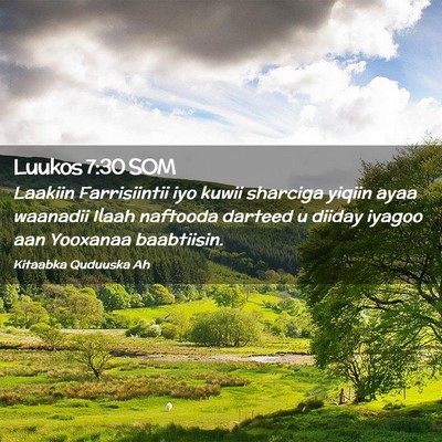 Picture 02 - Luukos 7:30 SOM - Laakiin Farrisiintii iyo kuwii sharciga yiqiin - Bible Verse Picture
