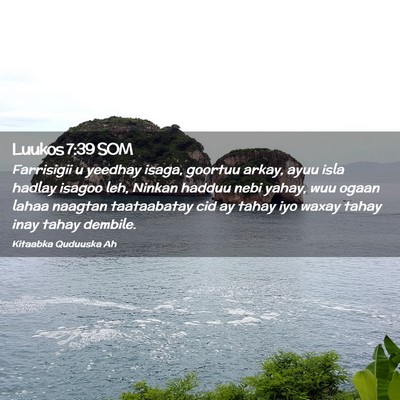 Picture 02 - Luukos 7:39 SOM - Farrisigii u yeedhay isaga, goortuu arkay, ayuu - Bible Verse Picture