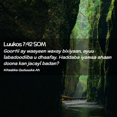Picture 02 - Luukos 7:42 SOM - Goortii ay waayeen waxay bixiyaan, ayuu - Bible Verse Picture