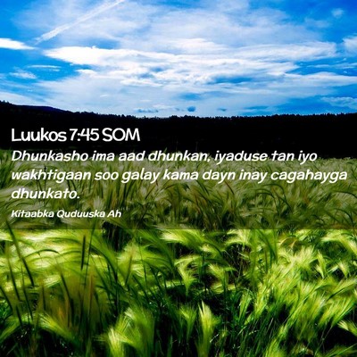 Picture 02 - Luukos 7:45 SOM - Dhunkasho ima aad dhunkan, iyaduse tan iyo - Bible Verse Picture