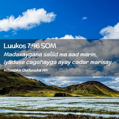 Picture 02 - Luukos 7:46 SOM - Madaxaygana saliid ma aad marin, iyaduse - Bible Verse Picture