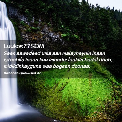 Picture 02 - Luukos 7:7 SOM - Saas aawadeed uma aan malaynaynin inaan istaahilo - Bible Verse Picture