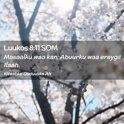 Picture 02 - Luukos 8:11 SOM - Masaalku waa kan: Abuurku waa ereygii - Bible Verse Picture