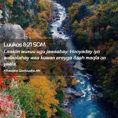 Picture 02 - Luukos 8:21 SOM - Laakiin wuxuu ugu jawaabay, Hooyaday iyo - Bible Verse Picture