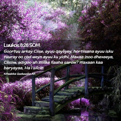 Picture 02 - Luukos 8:28 SOM - Goortuu arkay Ciise, ayuu qayliyey, hortiisana - Bible Verse Picture