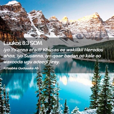 Picture 02 - Luukos 8:3 SOM - iyo Yo'anna afadii Khusas ee wakiilkii Herodos - Bible Verse Picture