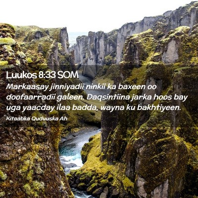 Picture 02 - Luukos 8:33 SOM - Markaasay jinniyadii ninkii ka baxeen oo - Bible Verse Picture