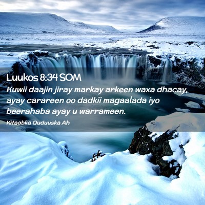 Picture 02 - Luukos 8:34 SOM - Kuwii daajin jiray markay arkeen waxa dhacay, - Bible Verse Picture