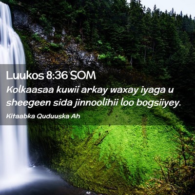 Picture 02 - Luukos 8:36 SOM - Kolkaasaa kuwii arkay waxay iyaga u sheegeen sida - Bible Verse Picture