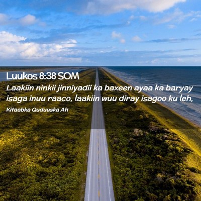 Picture 02 - Luukos 8:38 SOM - Laakiin ninkii jinniyadii ka baxeen ayaa ka - Bible Verse Picture