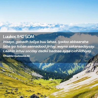 Picture 02 - Luukos 8:42 SOM - Waayo, gabadh keliya buu lahaa, iyadoo abbaaraha - Bible Verse Picture