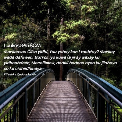 Picture 02 - Luukos 8:45 SOM - Markaasaa Ciise yidhi, Yuu yahay kan i taabtay? - Bible Verse Picture