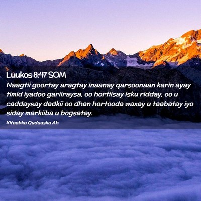 Picture 02 - Luukos 8:47 SOM - Naagtii goortay aragtay inaanay qarsoonaan karin - Bible Verse Picture