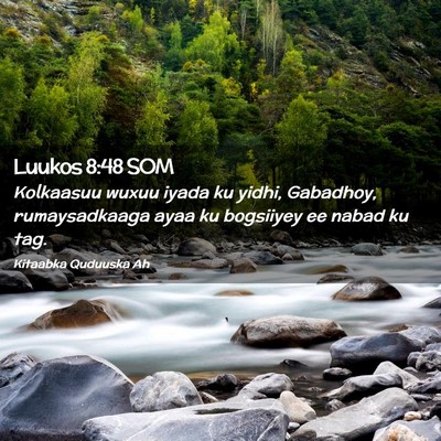 Picture 02 - Luukos 8:48 SOM - Kolkaasuu wuxuu iyada ku yidhi, Gabadhoy, - Bible Verse Picture