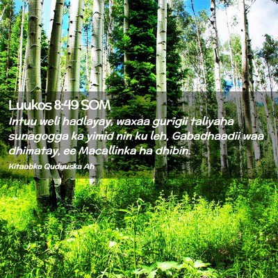 Picture 02 - Luukos 8:49 SOM - Intuu weli hadlayay, waxaa gurigii taliyaha - Bible Verse Picture