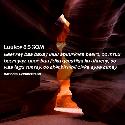 Picture 02 - Luukos 8:5 SOM - Beerrey baa baxay inuu abuurkiisa beero, oo intuu - Bible Verse Picture
