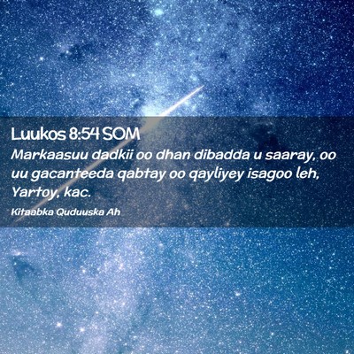 Picture 02 - Luukos 8:54 SOM - Markaasuu dadkii oo dhan dibadda u saaray, oo uu - Bible Verse Picture
