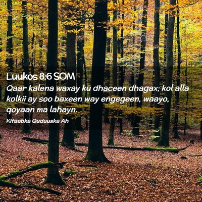 Picture 02 - Luukos 8:6 SOM - Qaar kalena waxay ku dhaceen dhagax; kol alla - Bible Verse Picture