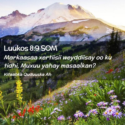 Picture 02 - Luukos 8:9 SOM - Markaasaa xertiisii weyddiisay oo ku tidhi, Muxuu - Bible Verse Picture