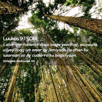 Picture 02 - Luukos 9:1 SOM - Laba-iyo-tobankii ayuu isugu yeedhay, wuxuuna - Bible Verse Picture