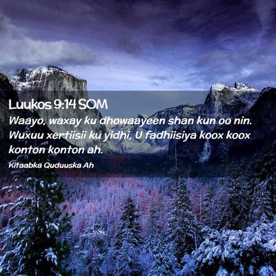 Picture 02 - Luukos 9:14 SOM - Waayo, waxay ku dhowaayeen shan kun oo nin. Wuxuu - Bible Verse Picture