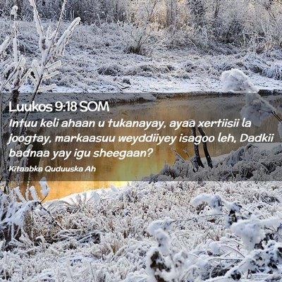 Picture 02 - Luukos 9:18 SOM - Intuu keli ahaan u tukanayay, ayaa xertiisii la - Bible Verse Picture