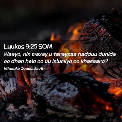 Picture 02 - Luukos 9:25 SOM - Waayo, nin maxay u taraysaa hadduu dunida oo dhan - Bible Verse Picture
