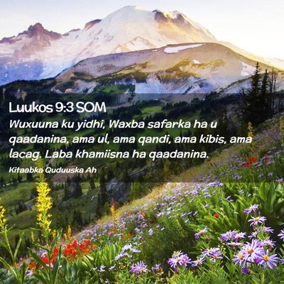 Picture 02 - Luukos 9:3 SOM - Wuxuuna ku yidhi, Waxba safarka ha u qaadanina, - Bible Verse Picture