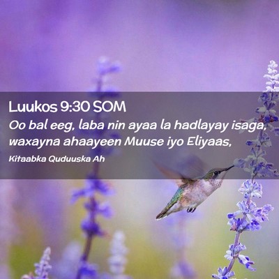 Picture 02 - Luukos 9:30 SOM - Oo bal eeg, laba nin ayaa la hadlayay isaga, - Bible Verse Picture